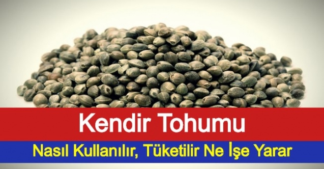 Kendir Tohumu Nasıl Kullanılır, Tüketilir? Ne İşe Yarar?