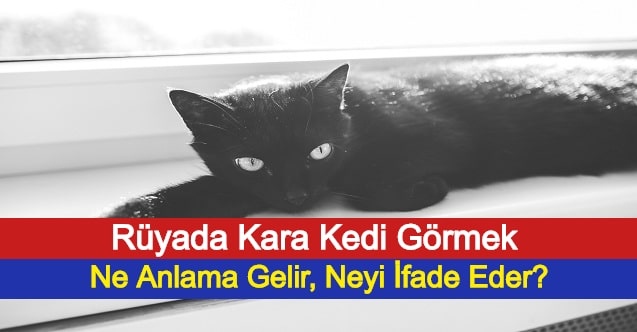 Ruyada Kara Kedi Gormek Ne Anlama Gelir Neyi Ifade Eder