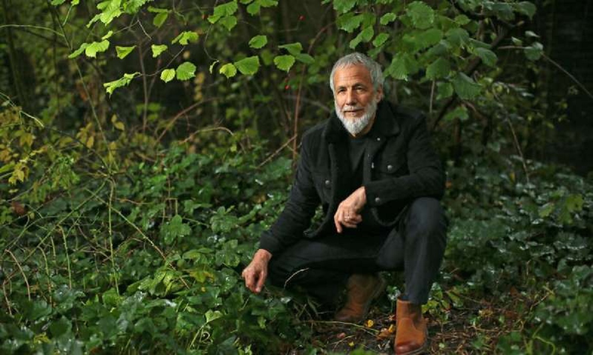 Yusuf / Cat Stevens, İslam'a dönmesi hakkında konuştu: 'Ben çoğunluğun ikonuydum ve şimdi aşağılanan azınlığın bir parçasıyım'