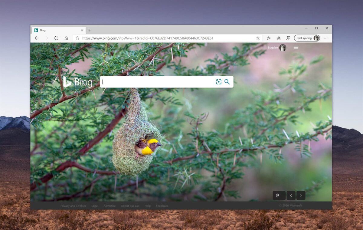 Microsoft Edge Yeni Güncellemesi 86.0.601.1'deki Büyük Yenilikler