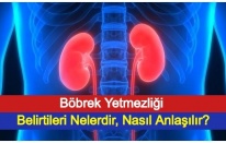 Böbrek Yetmezliği Belirtileri Nelerdir, Nasıl Anlaşılır?