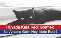 Rüyada Kara Kedi Görmek Ne Anlama Gelir, Neyi İfade Eder?