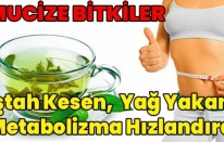 İştah Kesen Bitkiler