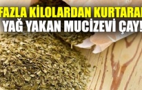 Yağ Yakan En Etkili Bitki Çayları