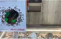 MediaMarkt Türkiye’den Sıfır Atık Hamlesi! Kahve Posalarına Yeni Bir Hayat ☕