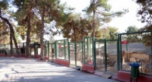 Sokak hayvanları için 10 milyon liralık yatırım - GAZİANTEP