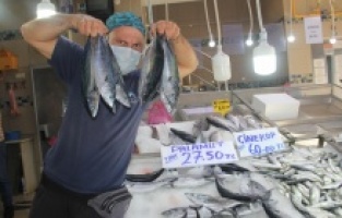 Avcılığı azalan palamudun tane fiyatı 27 liraya yükseldi