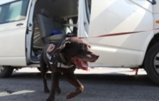 Başkentte drone destekli narkotik uygulaması