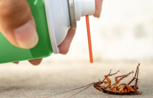 Melikgazide Haşerelerle Mücadeleye Devam