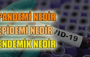 Pandemi nedir Endemi ve Epidemiden Farkı