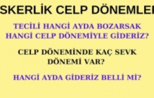 Hangi Askerlik Şubesine Bağlıyım? 2025 Askerlik Celp Dönemleri Açıklandı mı?