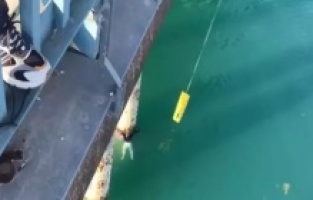 Adana’da Nefes Kesen Kurtarma Operasyonu! Seyhan Baraj Gölü’ne Atlayan Kadını Su Altı Polisi Son Anda Kurtardı!