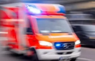 Almanya’da Orman Faciası: Üzerine Ağaç Düşen İşçi Hayatını Kaybetti