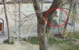 Ankara’da Dehşet! 15 Yaşındaki Kız Öğrenciye Bıçaklı Saldırı ve Gasp