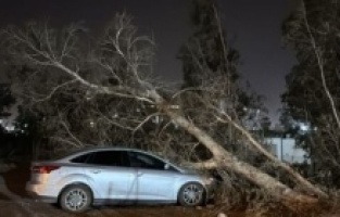 Hatay’da Şiddetli Fırtına: Ağaçlar Devrildi, Tekneler Alabora Oldu