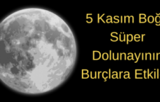 5 Kasım 2025 Boğa Süper Dolunayının Burçlara Etkisi ve Dolunay Ritüeli, Okunacak Dualar, Zikirler ve Niyet: Huzur, Bereket ve Ruhsal Denge İçin İlahi Enerjiyle Yenilenme Gecesi