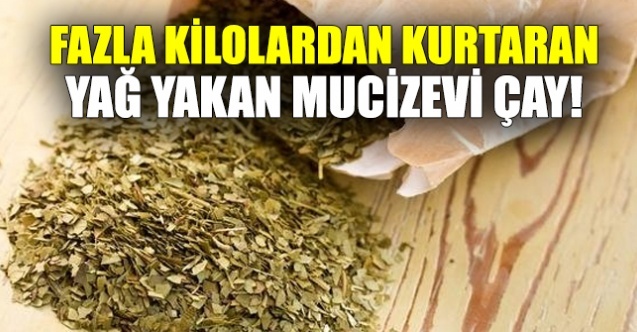 Yağ Yakan En Etkili 5 Bitki Çayı