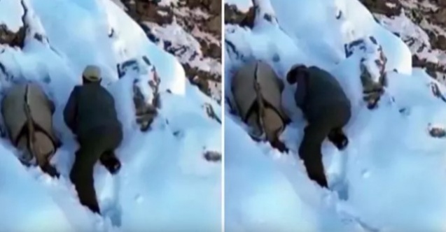 Kaçak Avcının Akıl Almaz Planı: Yakalanmamak İçin Dağ Keçisi Taklidi Yaptı!