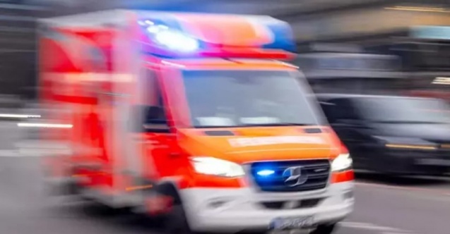 Almanya’da Orman Faciası: Üzerine Ağaç Düşen İşçi Hayatını Kaybetti