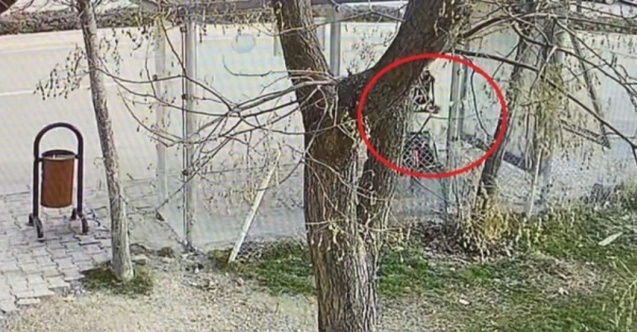 Ankara’da Dehşet! 15 Yaşındaki Kız Öğrenciye Bıçaklı Saldırı ve Gasp